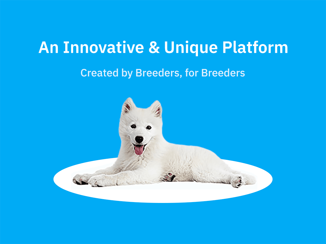 An Innovative & Unique Platform